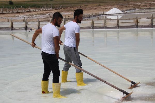 Sivas'tan İspanya'ya