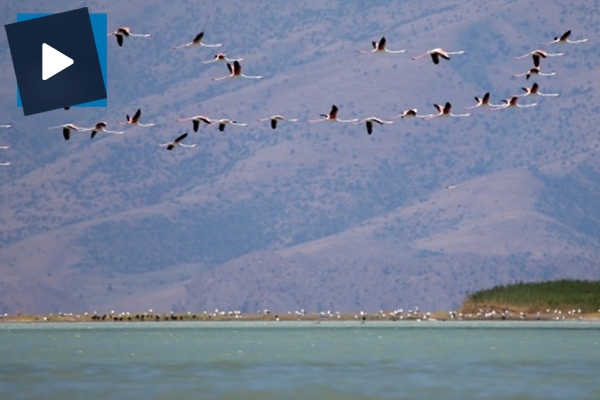 Van Gölü'nde görsel şölen