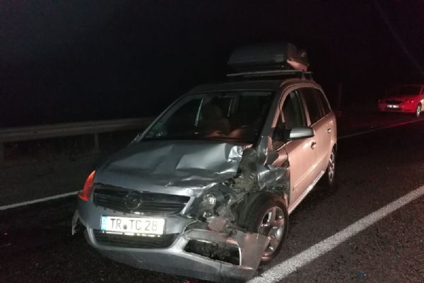 Yola çıkan inek kazaya yol açtı!