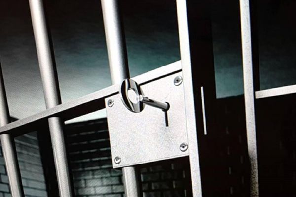 Alman temsilciden 'genel af' iddiası