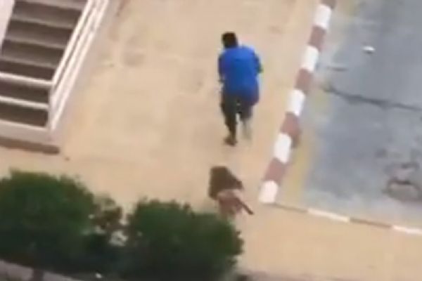 Maymunlar adamı kovaladı