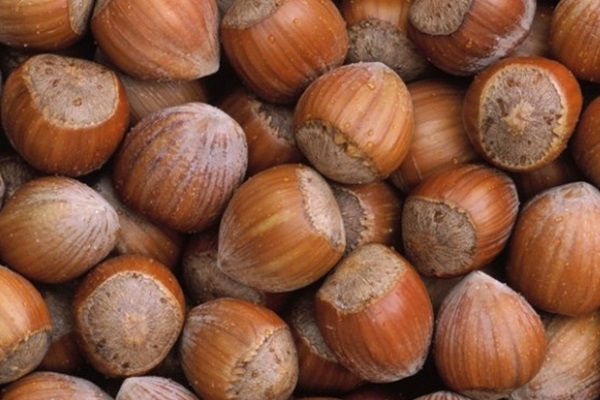 Trabzon'da ihracatın lideri fındık