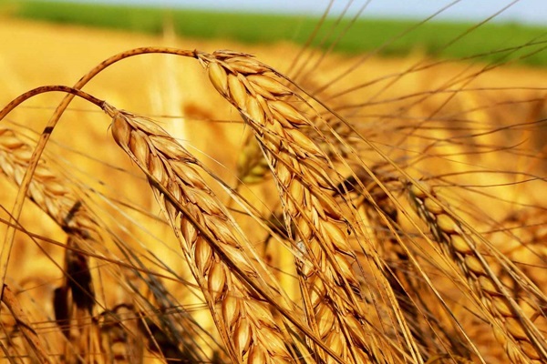 Türkiye için büyük kayıp!