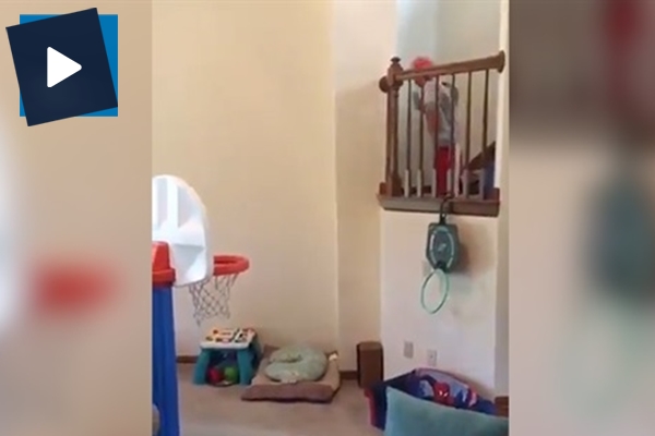 Bebeğin yeteneği şaşkına çevirdi!