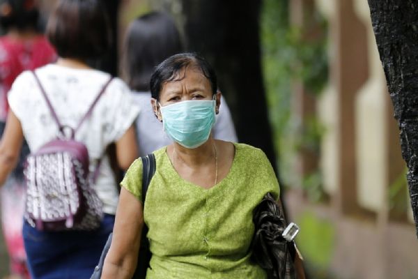 Myanmar'da domuz gribi tehdidi