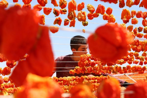 Sıcak hava en çok onların yüzünü güldürüyor