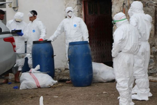 Kuş gribi kabusu geri mi dönüyor?