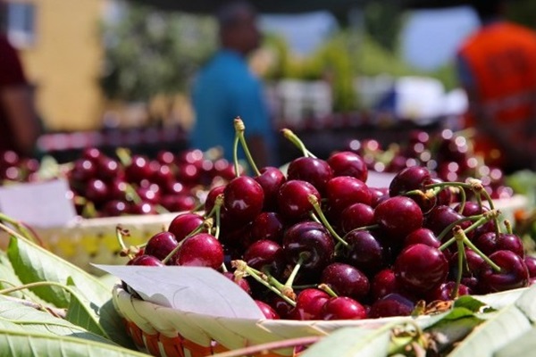 Çin'e kiraz ihracatı seneye kaldı