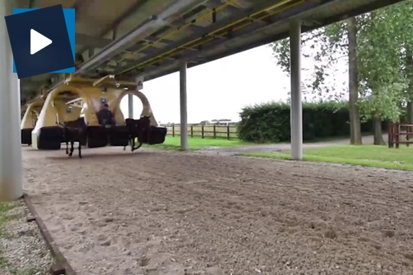 Atlara son model eğitim!