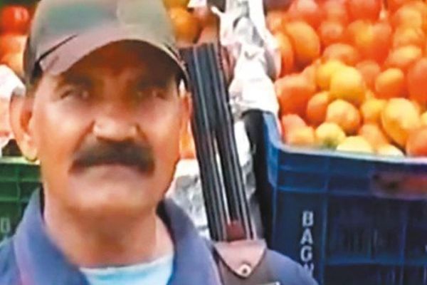 Hindistan'da domatesler silahla korunuyor!