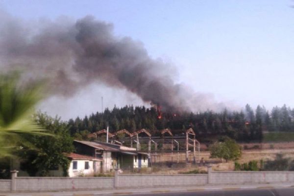 Denizli'de orman yangınına 1 gözaltı