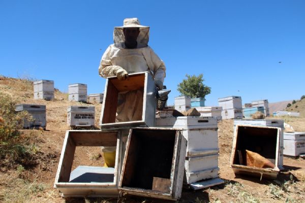 Elazığ'da 'bu kadarına pes' dedirten hırsızlık