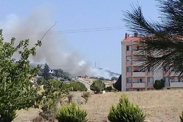 Aliağa'da orman yangını