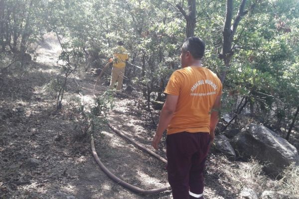 Cam parçası 4 dekar alanı kül etti