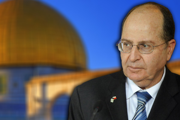 'Araplar bizimle beraber, Erdoğan burnunu sokuyor'