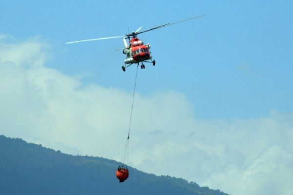 Bayındır'da orman yangını sürüyor