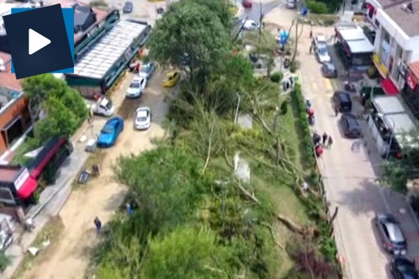 Koşuyolu Parkı'nın doludan sonraki hasarı...