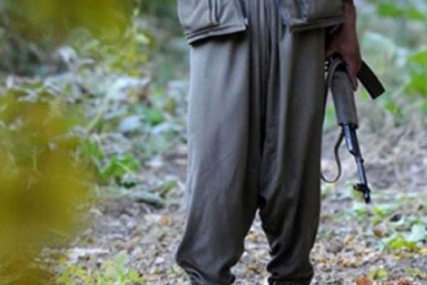 PKK'nın sözde alan sorumlusu teslim oldu