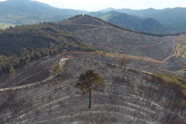 İşte 500 hektarlık alanı kül eden yangının dehşeti