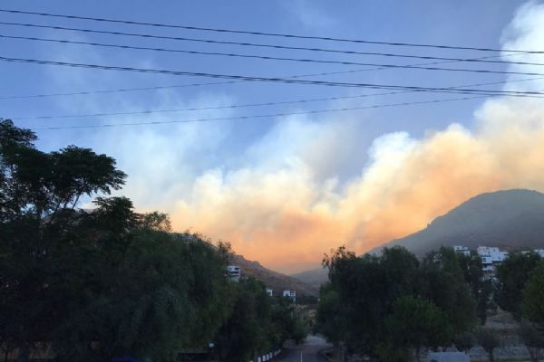 Bodrum'daki yangında 20 hektar alanı kül oldu