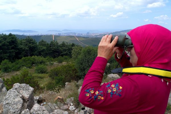 Ormanlar Ayda Teyzeye emanet