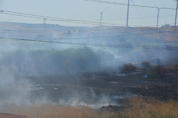 Aliağa Organize Sanayi Bölgesinde yangın çıktı