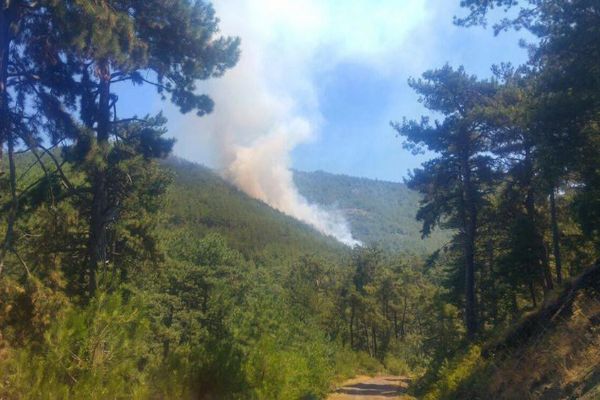 Sındırgı ilçesinde orman yangını kontrol altına alındı