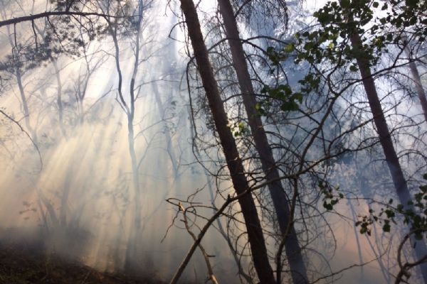 Erzurum'un Pasinler ilçesi 2 gündür yanıyor