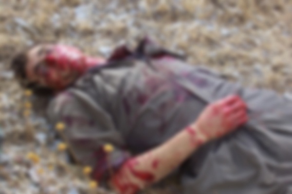 Faraşin'de PKK'ya ağır darbe