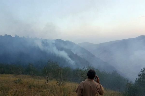 Erzurum'un  Pasinler ilçesinde orman yangını