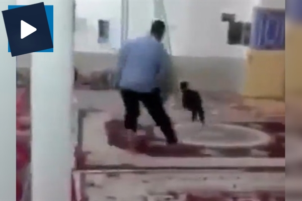 Namaz kılınırken camiye keçi girerse...