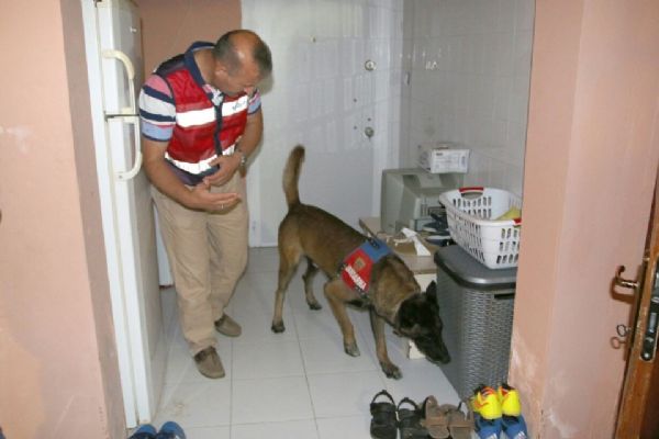 Edirne'de Jandarmadan sahil bölgesinde huzur operasyonu