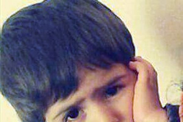 Bingöl'de boğazına erik kaçan çocuk hayatını kaybetti