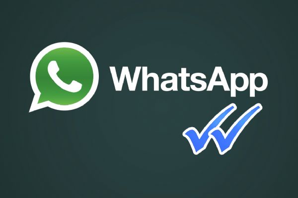 Whatsapp kurumsallaşıyor