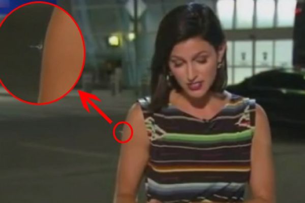 Amerika'da üzerinde örümcekle haber sundu