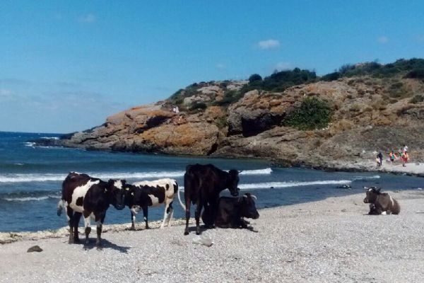 İstanbul'dan renkli kareler