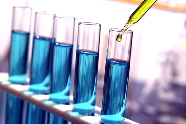 Hayvan yemine GDO onayı