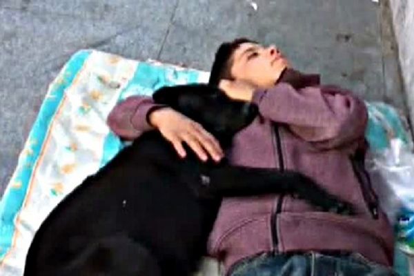 Köpeğe sarılarak uyuyan çocuk yürekleri sızlattı