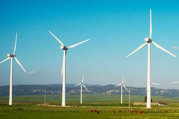 Rüzgar enerjisi ihalesi bugün başlıyor