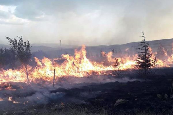 Sandıklı'da orman yangını
