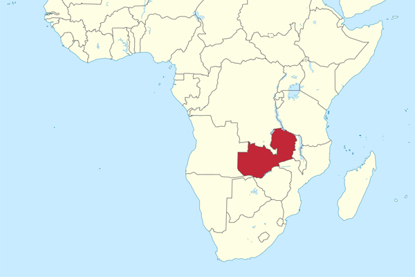 Zambiya muhalefet lideri gözaltında!