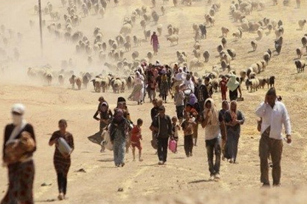 BM'den Kürtçe ve İngilizce Şengal mesajı