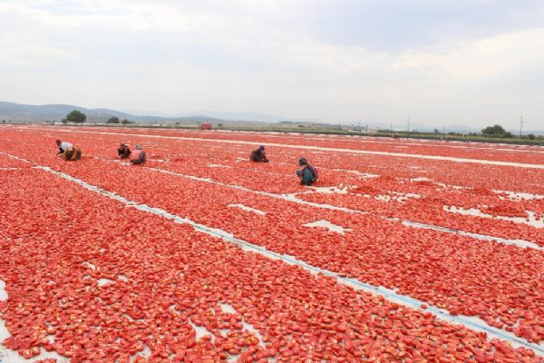 Avrupa ülkeleri ve Amerika'dan yoğun rağbet var