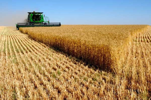 Çiftçiye 226 milyon lira tazminat ödendi