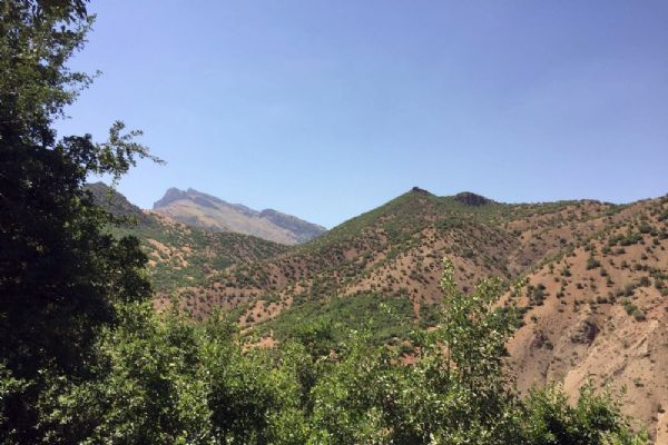 Beytüşşebap'ta operasyonlar tüm hızıyla devam ediyor