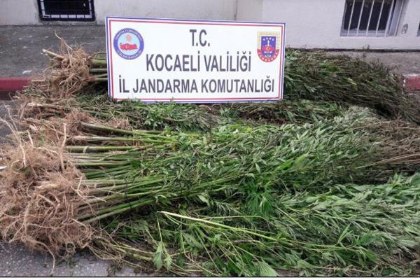 Kocaeli'nde 41 kilogram eroin yakalandı