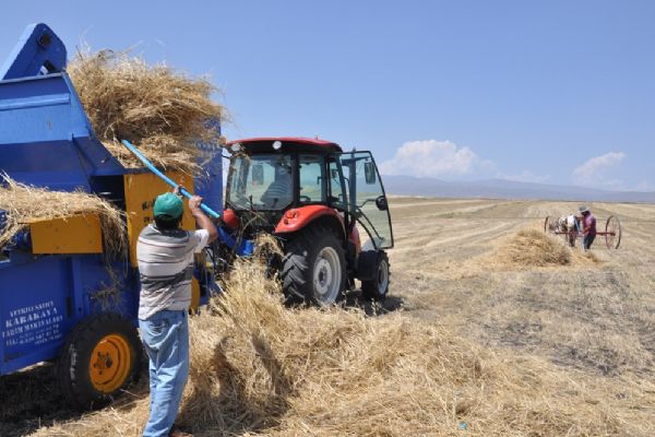 Kars'ta 30 derece sıcağın altında ekmek mücadelesi