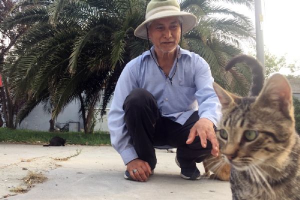 Fatih'ten Kasımpaşa'ya yürüyen hayvan sever