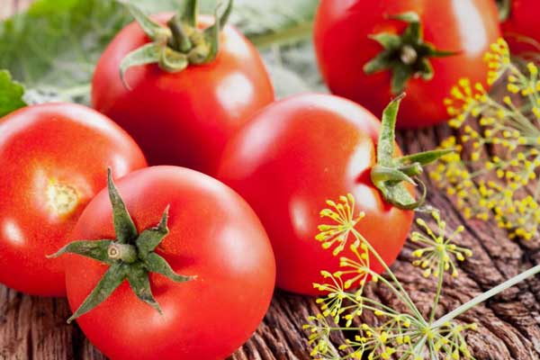 Rus pazarına Türk domatesi girmeyecek