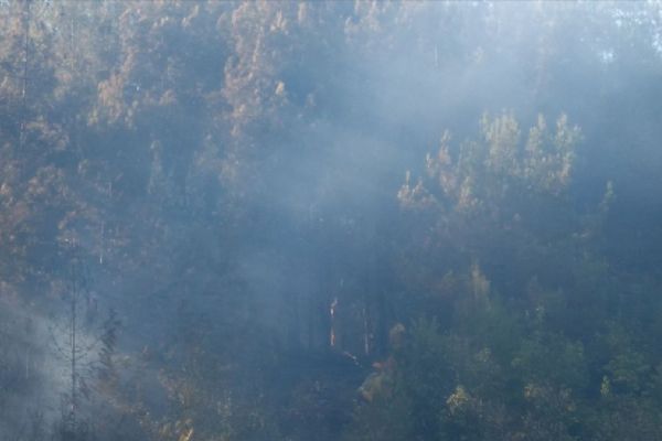 Osmaniye'de hektarlık alan yandı